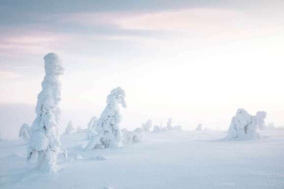 voyage photo finlande hiver 185148292 promo