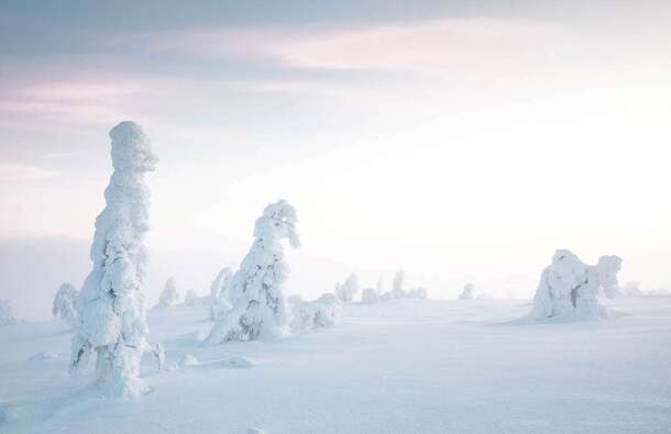 voyage photo finlande hiver 185148292 promo