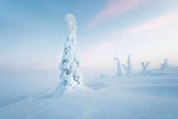 voyage photo finlande hiver 185679493
