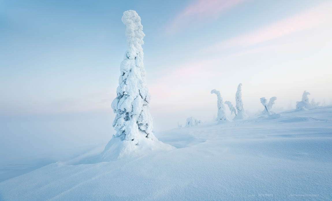 voyage photo finlande hiver 185679493 galerie 2