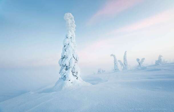 voyage photo finlande hiver 185679493 promo