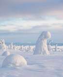 voyage photo finlande hiver 488848741 promo 21