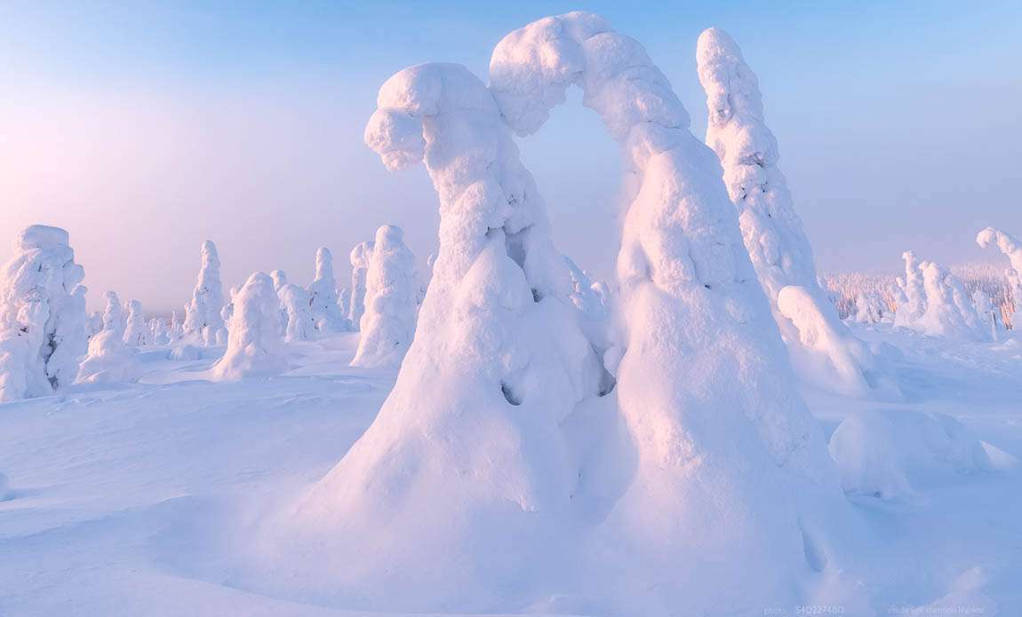 voyage photo finlande hiver 540227480 galerie 7