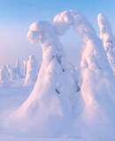 voyage photo finlande hiver 540227480 promo