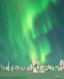 voyage photo finlande hiver 582866056 promo 17