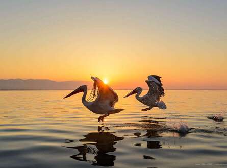 voyage photo grece as 156241769 promo 20