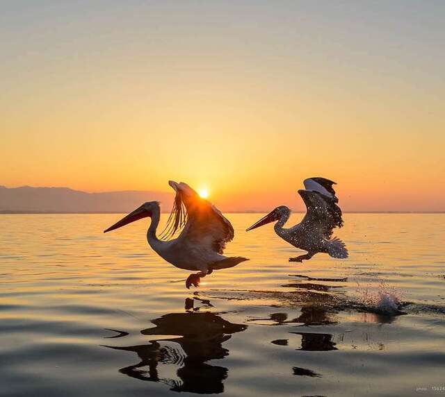 voyage photo grece as 156241769 promo 20