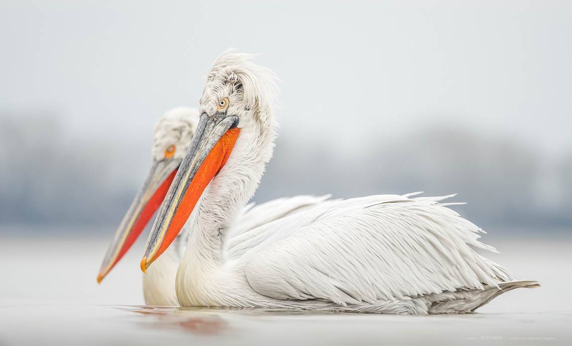 voyage photo grece as 302117898 galerie 17