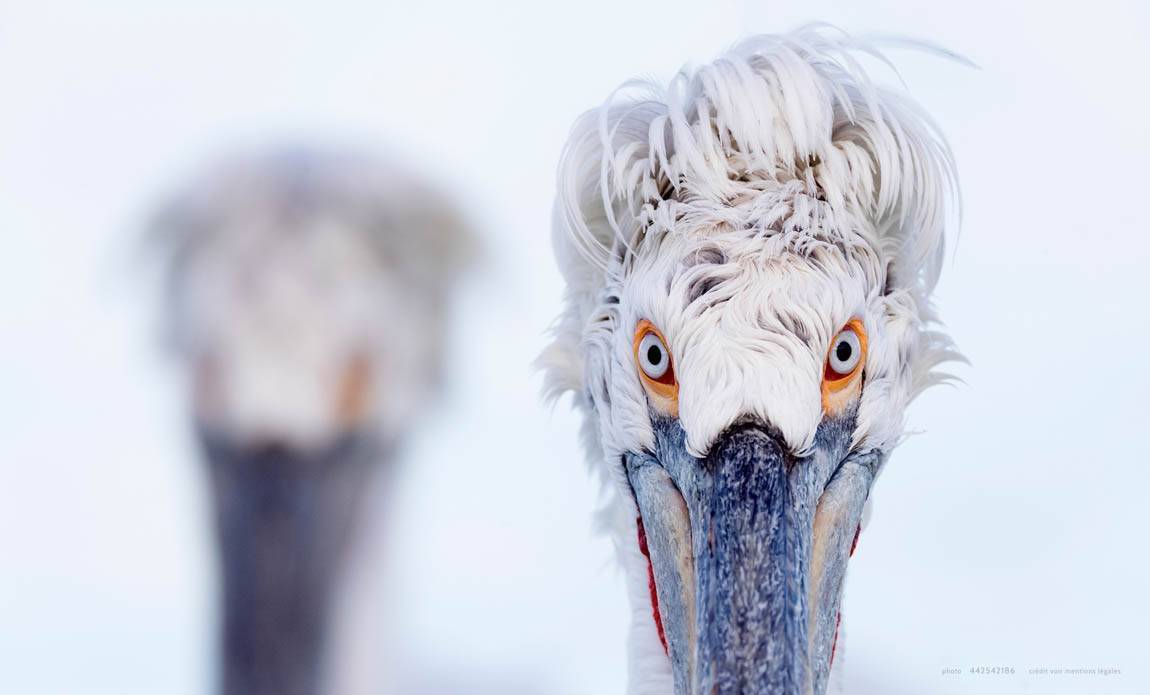 voyage photo grece as 442542186 galerie 14