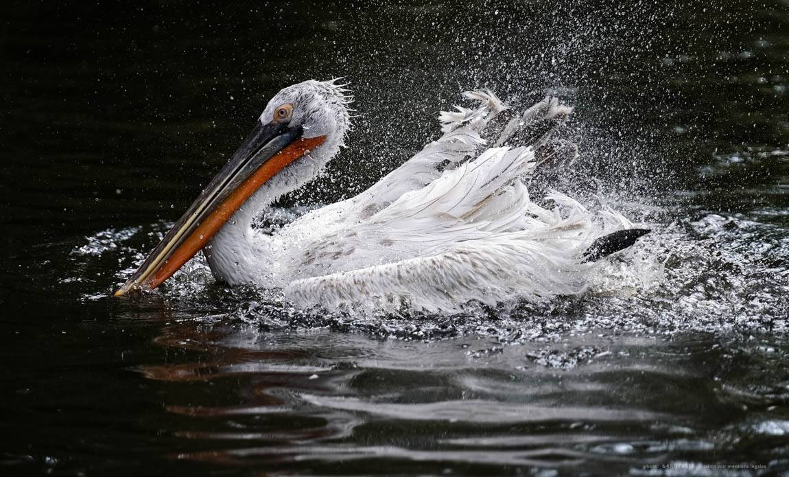 voyage photo grece as 648079513 galerie 10