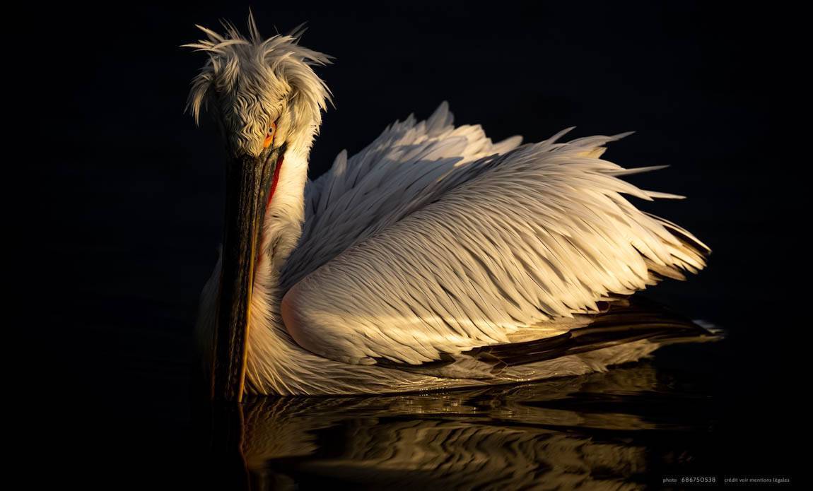 voyage photo grece as 686750538 galerie 8