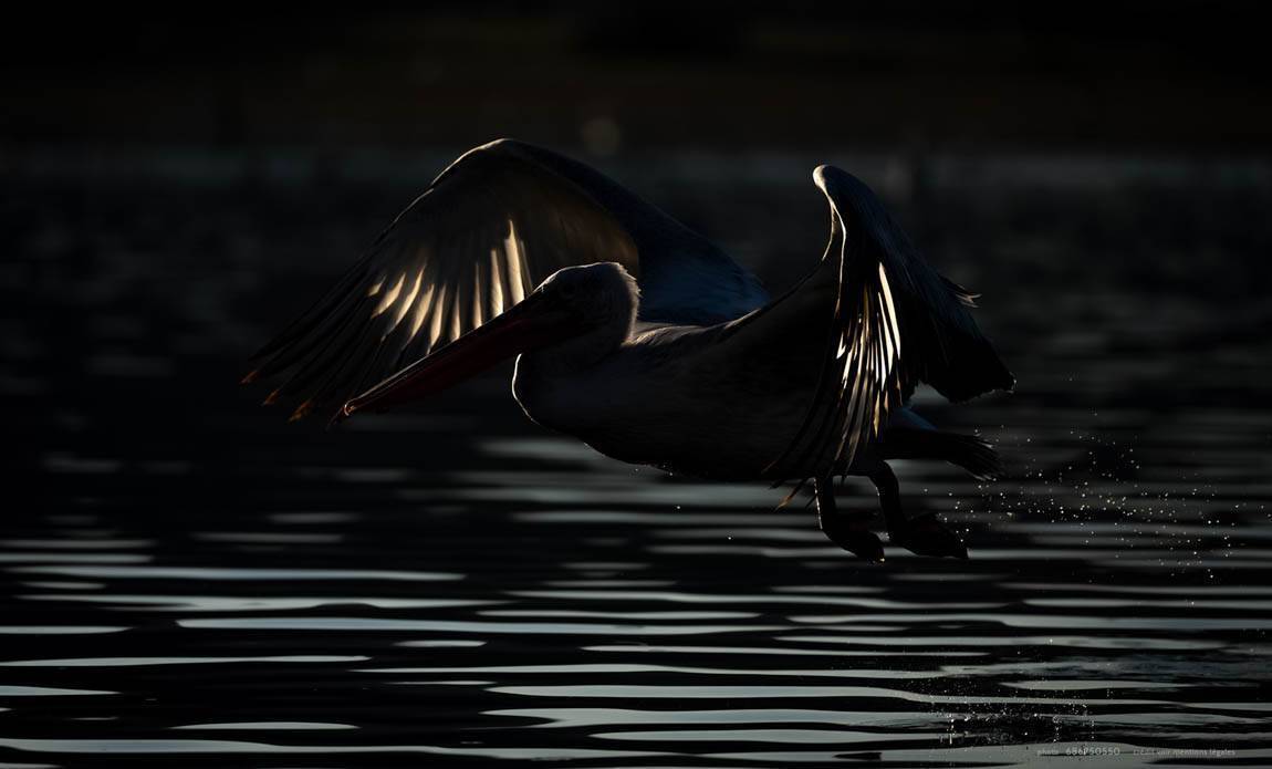 voyage photo grece as 686750550 galerie 7