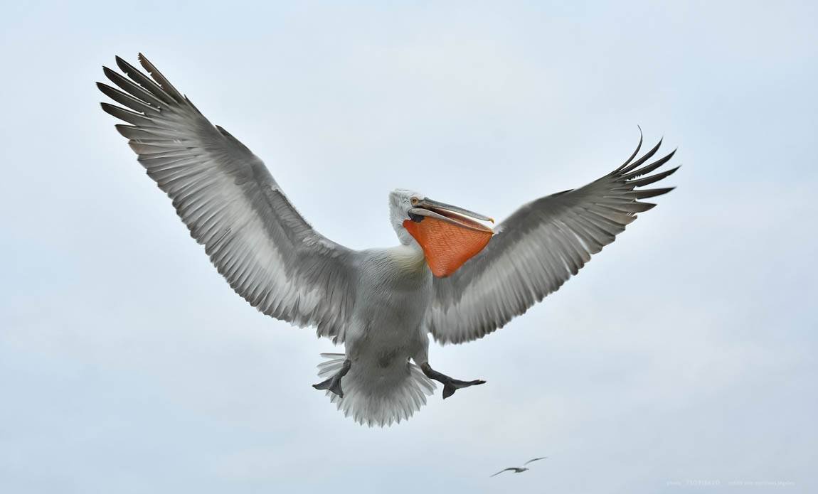 voyage photo grece as 750918620 galerie 3