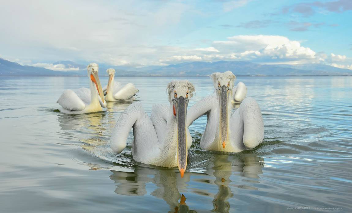 voyage photo grece as 750924073 galerie 2