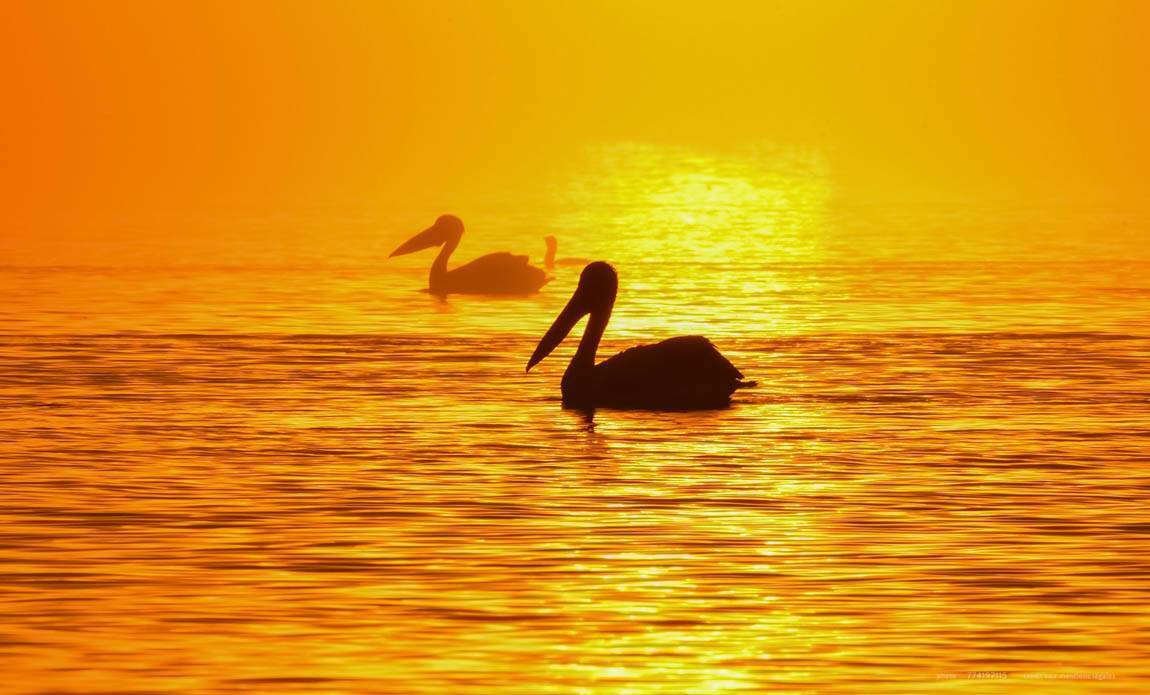 voyage photo grece as 774197115 galerie 1