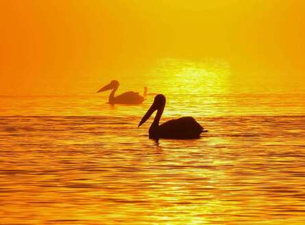 voyage photo grece as 774197115 promo 1