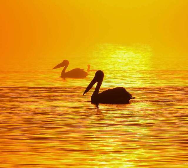 voyage photo grece as 774197115 promo 1