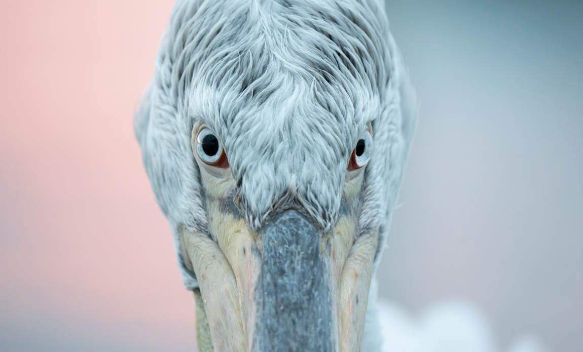 voyage photo grece ophelie bleunven galerie 2 1