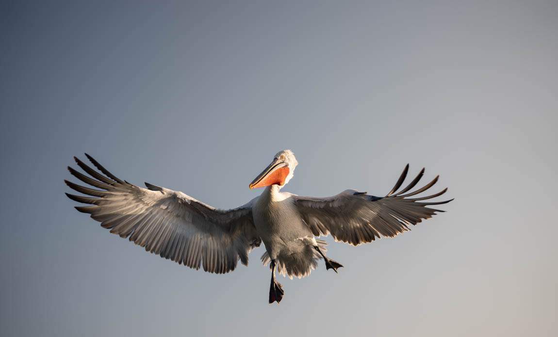 voyage photo grece ophelie bleunven galerie 2 12