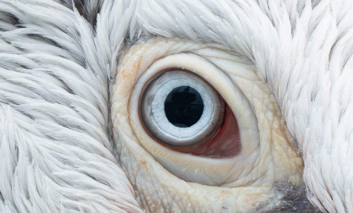 voyage photo grece ophelie bleunven galerie 2 4