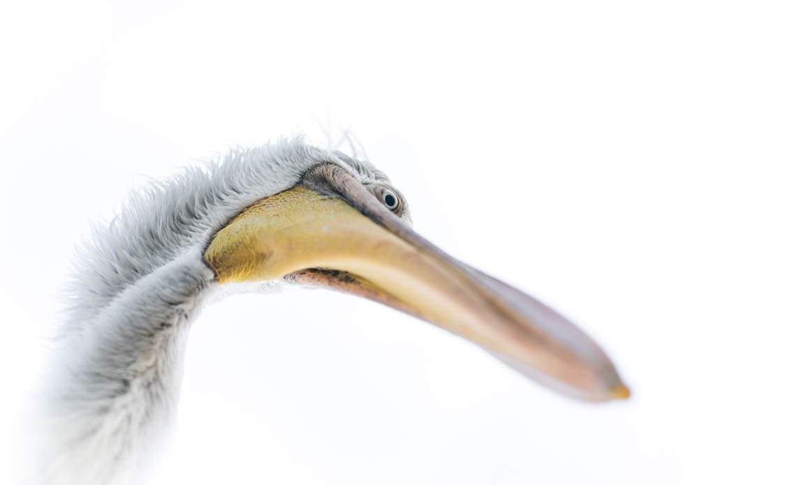 voyage photo grece ophelie bleunven galerie 2 7