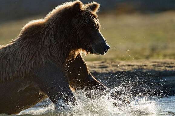 voyage photo ile vancouver 54420305147 promo