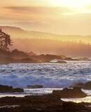 voyage photo ile vancouver 58013611251 promo 3