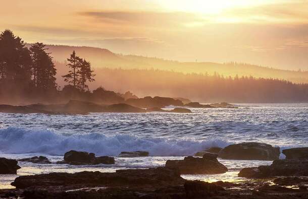 voyage photo ile vancouver 58013611251 promo 3