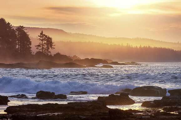 voyage photo ile vancouver 58013611251 promo