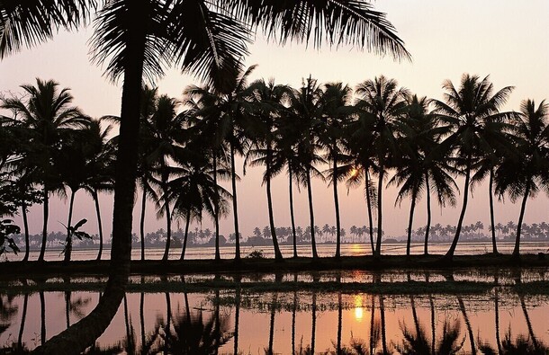 voyage photo inde kerala