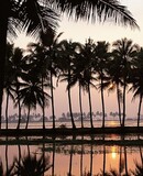 voyage photo inde kerala