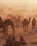 voyage photo inde rajasthan