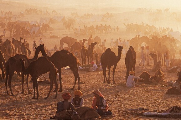 voyage photo inde rajasthan