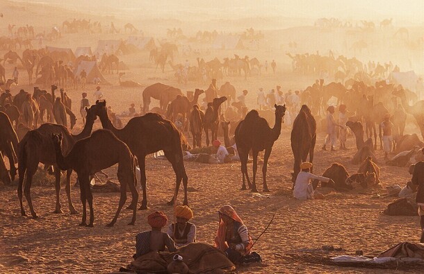 voyage photo inde rajasthan