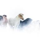 voyage photo islande du nord christian beuvard