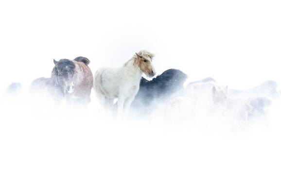 voyage photo islande du nord christian beuvard promo