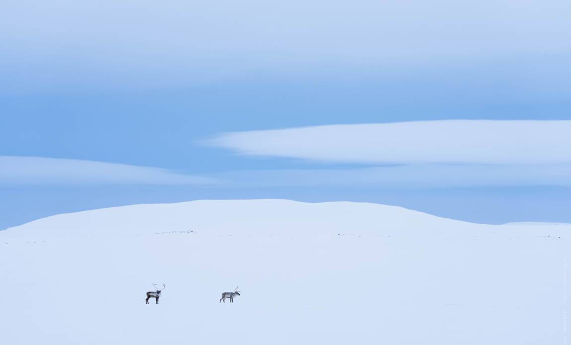 voyage photo islande nord hiver as 384428221 galerie 42