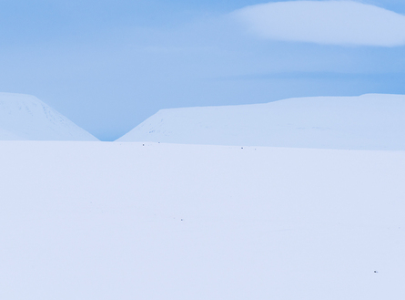 voyage photo islande nord hiver gregory gerault promo gen 3 jpg