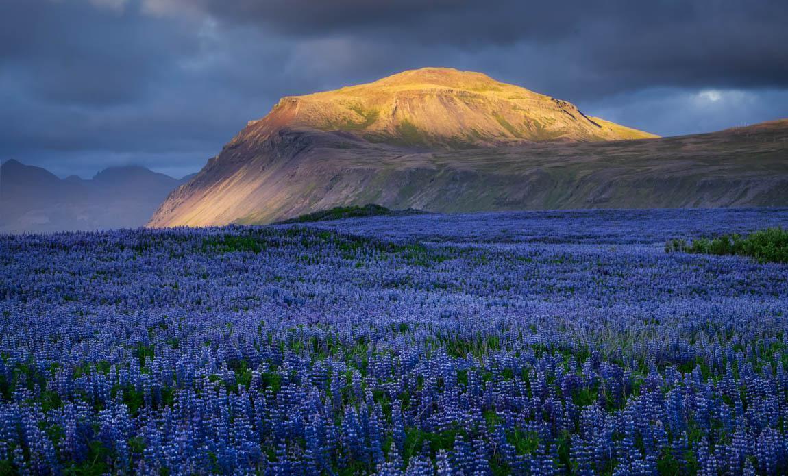 voyage photo islande snaaeffel tgal galerie 10