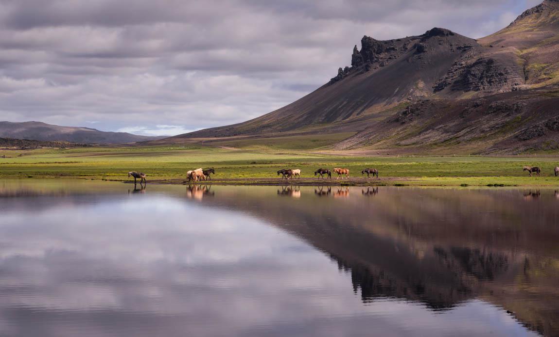 voyage photo islande snaaeffel tgal galerie 12