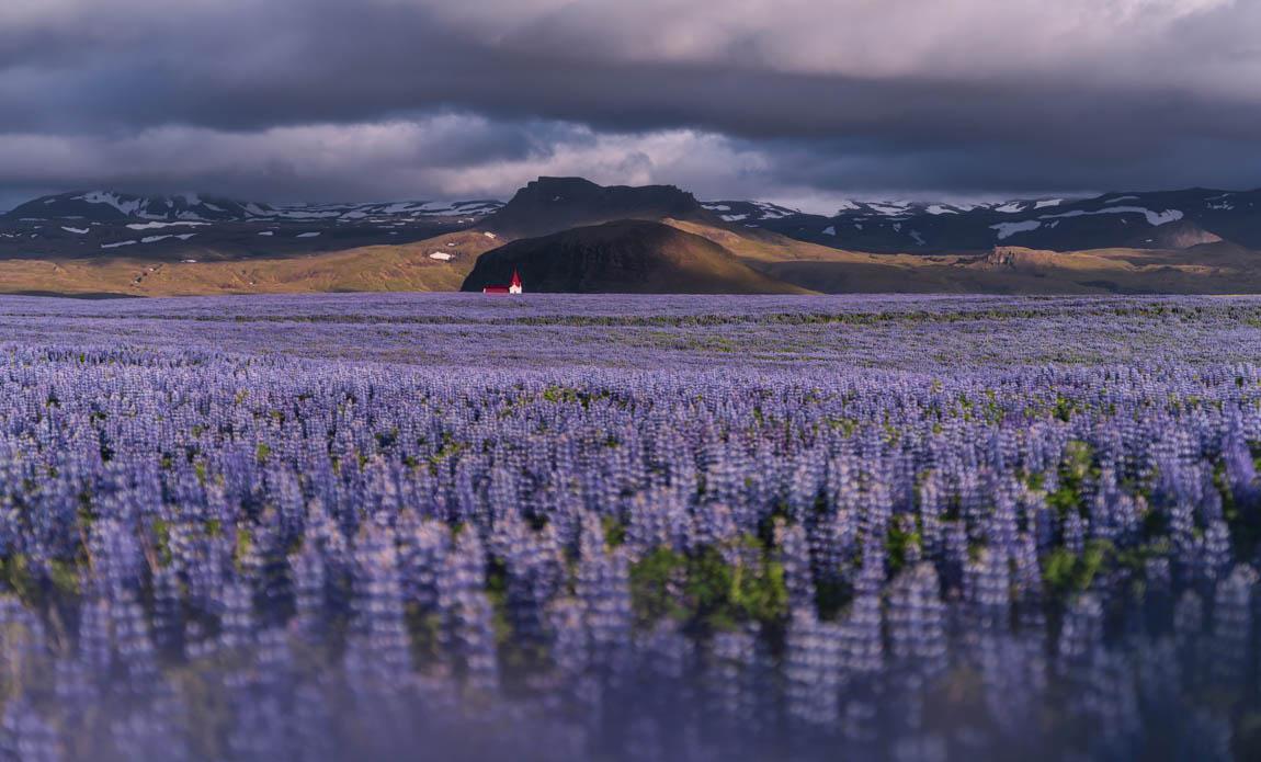 voyage photo islande snaaeffel tgal galerie 8