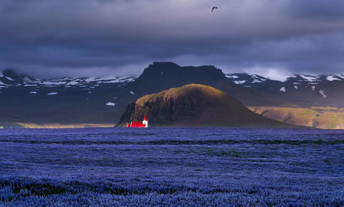 voyage photo islande snaaeffel tgal galerie 9