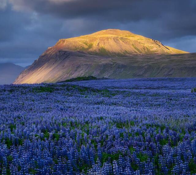 voyage photo islande snaaeffel tgal promo 10