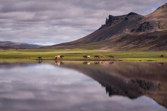 voyage photo islande snaaeffel tgal promo 12