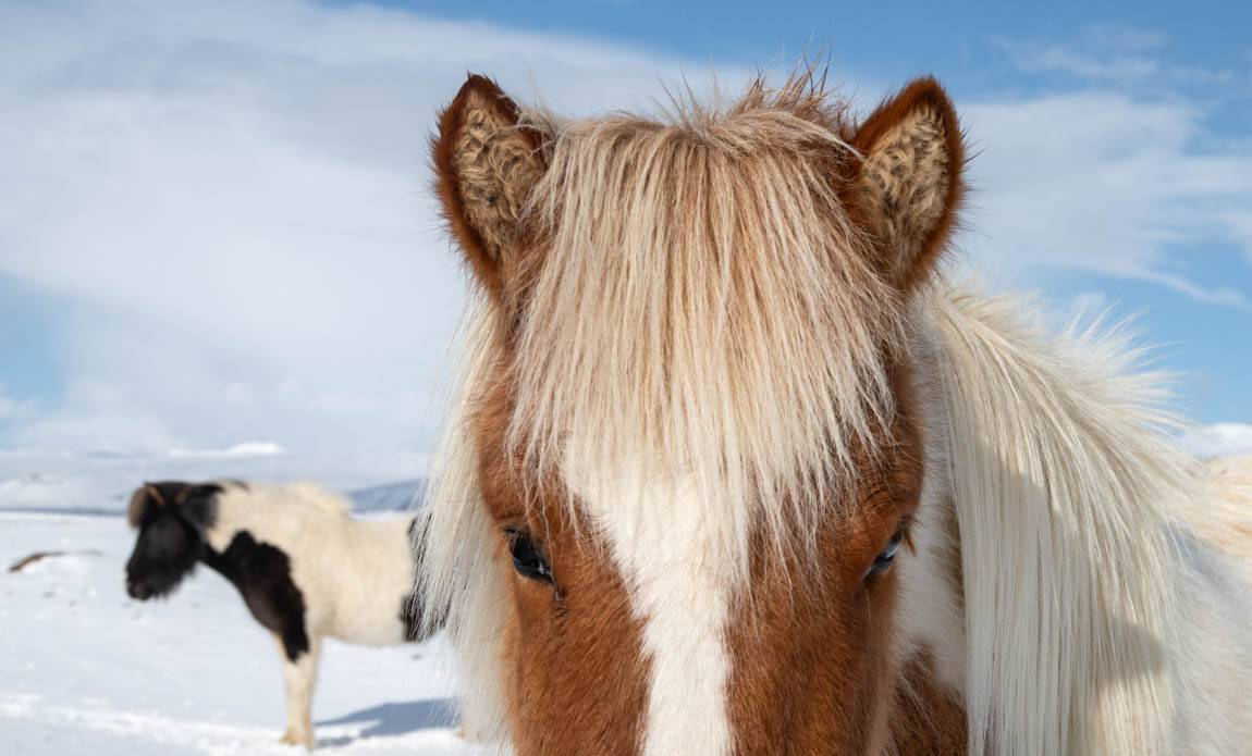 voyage photo islande sud hiver axel coeuret galerie 1