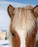 voyage photo islande sud hiver axel coeuret promo