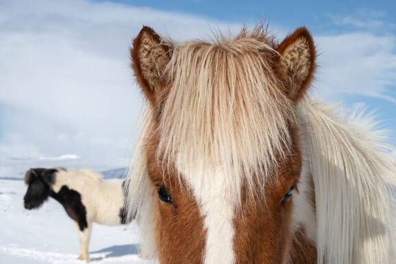 voyage photo islande sud hiver axel coeuret promo