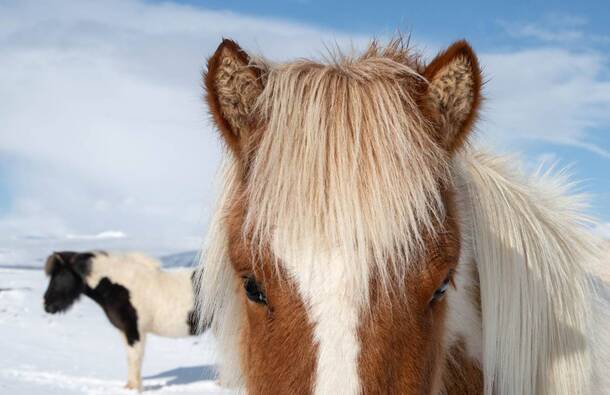 voyage photo islande sud hiver axel coeuret promo