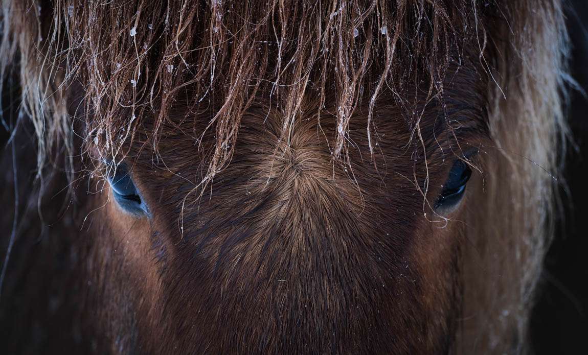 voyage photo islande sud hiver thomas gallopin galerie 9