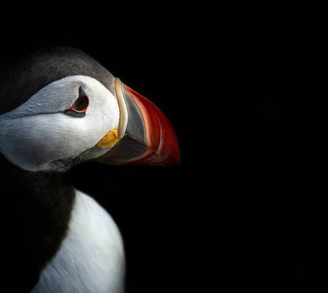 voyage photo islande westfjord as 208651510 promo 16
